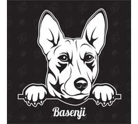 Autocollant Basenji Kongo Terrier Version 1 - Autocollant pour voiture, chien, races de chien, chien, mougle, mélange d'animaux, animaux (également possible selon votre souhait)