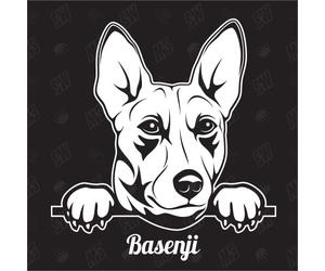 Autocollant Basenji Kongo Terrier Version 1 - Autocollant pour voiture, chien, races de chien, chien, mougle, mélange d'animaux, animaux (également possible selon votre souhait)