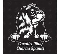 Autocollant Cavalier King Charles Spaniel Version 2 - Autocollant pour chien, voiture, races de chien, mélange d'animaux, animaux de compagnie (également possible selon votre souhait)