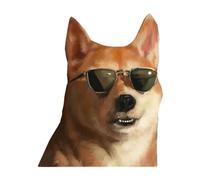 Autocollant chien pour vitre arrière de voiture - Autocollant et décalcomanie pour voiture, chien, ne se décolore pas facilement, étanche, pour ordinateur portable, porte, fenêtre latérale, camion