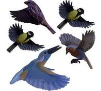 Autocollant de fenêtre d'oiseau Gardigo Stickers Native Birds Type de fonctions effet dissuasif 1 pc(s)
