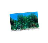 Autocollant de Fond pour Aquarium d 42cm Décor Scène Tridimensionnelle
