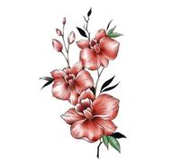 Autocollant de tatouage de bras de fleur de pivoine, 2 pièces, faux bras imperméable, demi-bras, sang Floral, Art corporel, faux tatouages pour femmes, nouveau(009)