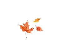 Autocollant De Tatouage De Plante De Feuille D'Érable Autocollant Féminin Sexy Longue Durée Imprimé Sur Le Front Feuille D'Automne Imperméablefaux Tatouage Temporaire