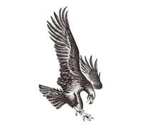 Autocollant de tatouage étanche, plume d'aigle, oiseau, animaux, jambe, bras arrière, faux tatouage for hommes et femmes, 160x90mm(002)