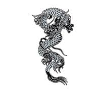 Autocollant de tatouage imperméable tigre, dragon, fleur, manche de bras homme femme autocollant de tatouage tigre gros chat élément animal imperméable faux art corporel for hommes femmes(014)