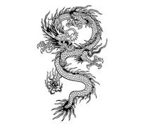 Autocollant De Tatouage Temporaire Dragon À Base De Plantes Tu Com 5 Pièces Grande Image Simulation Étanche Tatouage Longue Durée Pour Hommes Et Femmes