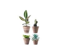 Autocollant de vitre Pots de Plantes