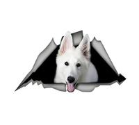 Autocollant de voiture 25 cm Berger allemand blanc Autocollant de voiture Berger allemand blanc déchiré autocollant réfléchissant pare-chocs coffre lunette arrière décor imperméable animal de