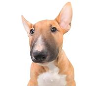 Autocollant de voiture Bullterrier - Réfléchissant - Imperméable - Drôle de chiot Bull Terrier - En PVC - Pour voiture, ordinateur portable, réfrigérateur (15 cm)