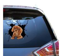 Autocollant de voiture Cavalier King Charles Love Vynl Race pour fille Windows Sticers