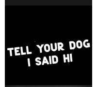 Autocollant de voiture personnalisé amusant 25 cm (9,8 pouces) Tell Your Dog I Said Hi Autocollant drôle Panneau d'avertissement Autocollant Pare-chocs Fenêtre de voiture Drôle Décor étanche