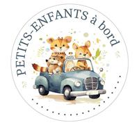 Autocollant de Voiture Petits-Enfants à Bord, Sticker Petits-Enfants à Bord