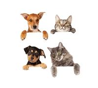 Autocollant d'interrupteur de lumière, autocollants d'interrupteur de chat, chiens dessin animé, autocollants muraux imperméables, décor sortie 4 pièces, autocollant chien