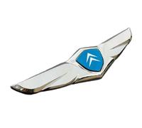 Autocollant Emblème de Voiture pour Citroen Ami, Décoration de Voiture Autocollant Sticker Tuning Facile à Installer,C