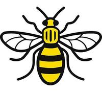 Autocollant en vinyle Manchester Bee pour voiture, van, chambre à coucher | Mancunien #WeStandTogether | Symbole d'unité et de résilience