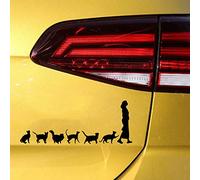 Autocollant en vinyle pour fenêtre Motif Lady With Crazy Cats