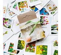Autocollant Frais La Saison Des Tulipes, Étiquette Autocollante, Décor Pour Album, Journal Intime, Diy Bricolage, 46 Pièces/Paquet
