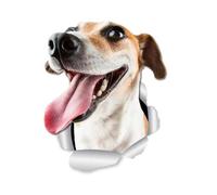 Autocollant Jack Russell Terrier - Effet déchiré - Imperméable - Chien réfléchissant - Pour voiture, ordinateur portable, réfrigérateur, pare-chocs, fenêtre - 18 cm