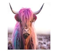Autocollant magnétique coloré et mignon pour lave-vaisselle Motif Highland Cattle étanche 58,4 x 66 cm