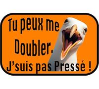 Autocollant Mouette Tu Peux Me Doubler