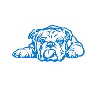 Autocollant mural bouledogue français, pour salon de toilettage, fenêtre, décoration de chambre d'enfant, affiche artistique, panneau de magasin d'animaux de compagnie, grand - 42 x 84 cm