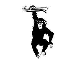 Autocollant mural drôle d'arbre de singe pour chambre d'enfant, dessin animé, jungle, forêt, animal, branche, vinyle, chambre à coucher-S-25x42cm-Black