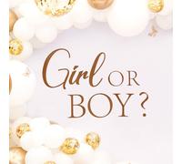 Autocollant Mural Girl or Boy, Panneau de Décalcomanie de Fête de Baby Shower Panneau de Révélation du Sexe Décalcomanies sur Le Thème du Sexe Décoration d'Arche