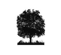 Autocollant mural Grand Arbre [Infactory]