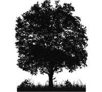 Autocollant mural ''Grand Arbre'' Noir G