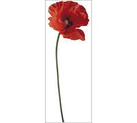 Sticker Décor mural adhésif 3XL - Coquelicot169 x 57,5 cm