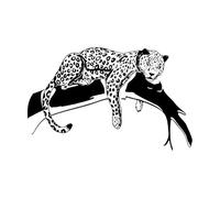 Autocollant mural léopard de dessin animé dans un arbre pour chambre d'enfant ou d'adolescent, animal de la jungle, tigre, chat, branche, salle de jeux, vinyle, maison-S-35x56cm-Black