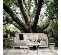 Autocollant mural taille personnalisée, arbre géant antique avec mousse et racines dans la forêt, pour décoration murale, décalcomanies murales peelandstick.