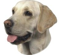 Autocollant Nobby Pet Labrador Beige 120x150 mm