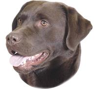 Autocollant Nobby Pet Labrador Marron 120x150 mm