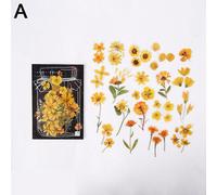 Autocollant Plante Fleur Naturelle En Pet S0q9, Étiquette Scrapbooking, Planificateur, Papeterie De Décoration Pour Journal Intime, Diy Bricolage, 40 Feuilles/Paquet