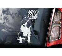 Autocollant pour fenêtre de voiture Border Collie Dog on Board - Blanc - Inverse imprimé pour application intérieure - 200 x 100 mm
