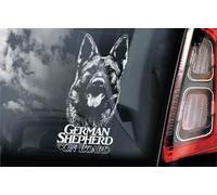 Autocollant pour fenêtre de voiture Motif berger allemand à bord Blanc 220 x 100 mm Version 2