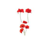 Autocollant pour vitres coquelicots