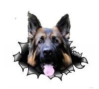 Autocollant pour Voiture Berger Allemand 22 cm Berger German Autocollants de Voiture Animaux de Compagnie Chien Déchiré Autocollant Réfléchissant Imperméable Voiture Pare-chocs Fenêtre Arrière Décor