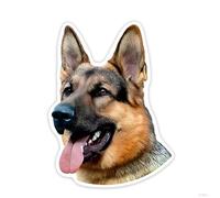 Autocollant pour Voiture Berger Allemand 22 cm Berger German Autocollants de Voiture Animaux de Compagnie Chien Déchiré Autocollant Réfléchissant Imperméable Voiture Pare-chocs Fenêtre Arrière Décor