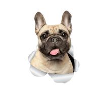 Autocollant pour voiture bouledogue français 18 cm (7,1 pouces) 3D déchiré autocollant réfléchissant drôle French Bulldog Car Autocollant pour fenêtre de voiture Personnaliser Autocollant pare-chocs
