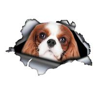 Autocollant pour voiture Cavalier King Charles Spaniel Personnaliser Autocollant 18 cm Chien Car Autocollant Cavalier King Charles Spaniel 3D Déchiré Autocollant de voiture réfléchissant Pare-chocs