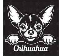 Autocollant pour voiture Chihuahua Version 1 - Autocollant pour chien, voiture, races de chiens, autocollant pour mongrele, mélange d'animaux, animaux