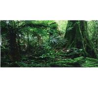 Autocollant PVC pour aquarium, fond 3D de forêt tropicale pour boîte à reptiles, poster autocollant, décoration pour bac à poissons (61 x 30 cm)