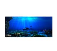 Autocollant Réaliste du Monde Marin pour Aquarium, Décoration Adhésive Imperméable avec Matériau Autocollant, Crée Un Ajout Cool mais Moderne pour Votre Aquarium. (122 * 46 cm)