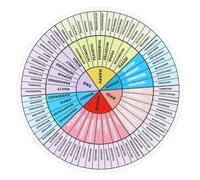 Autocollant Roue des Sentiments en PVC Aimanté pour Frigo | Magnet Souple en Caoutchouc, Exploration des Sentiments et Connaissance de Soi, Usage en Environnement D’apprentissage