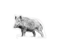 Autocollant sanglier logo1-2 sticker - Taille : 8 cm