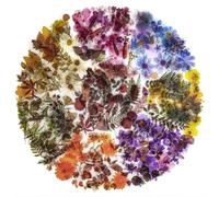 Autocollant Scrapbooking NOGAMOGA 320 Pièces Plante Fleur Autocollant Sticker Mini Taille PET Transparent Décoratif Autocollant Botanique 8 Thèmes pour Bullet Journals Album Laptop Résine Art