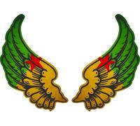Autocollant Sticker Ailes Biker Motard Drapeau Pays Gf Guyane Francaise